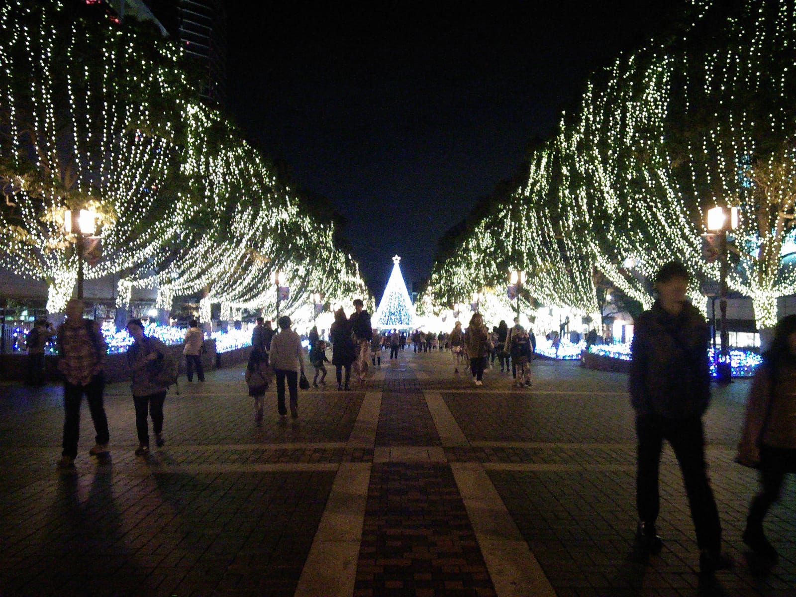 Trees draped in white lights along Tama Center's pedestrian street, with a lit tree at the far end