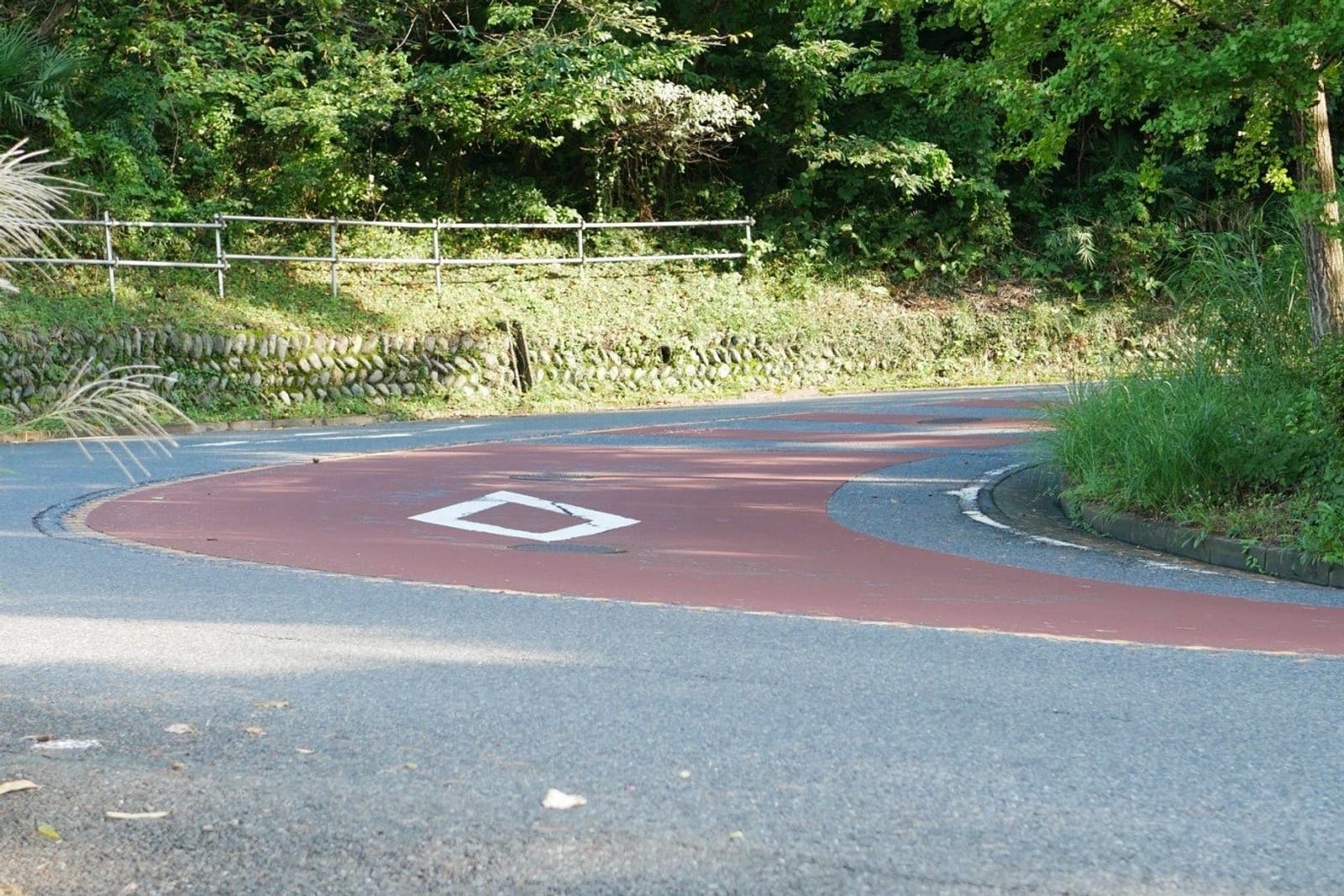 A hairpin bend on the Irohazaka road, painted red and surrounded by trees