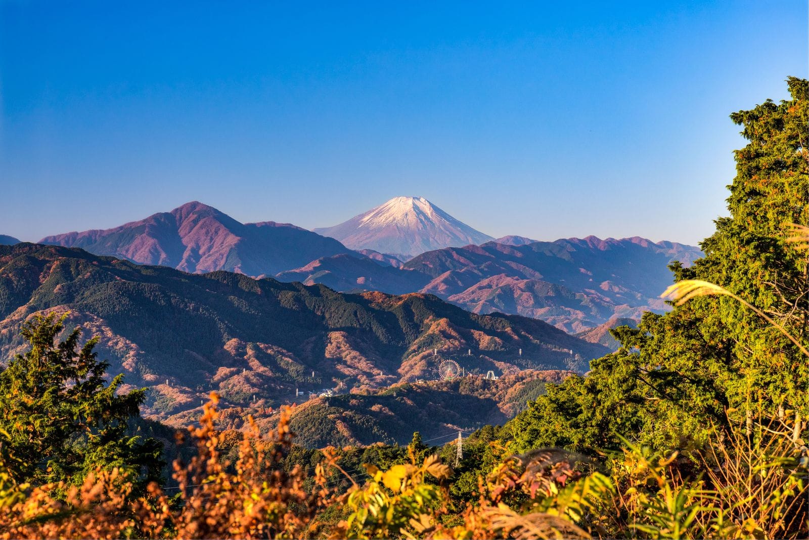 Snow-capped Mt. Fuji above the Tanzawa mountains, seen from the Mt. Takao summit on a clear day.