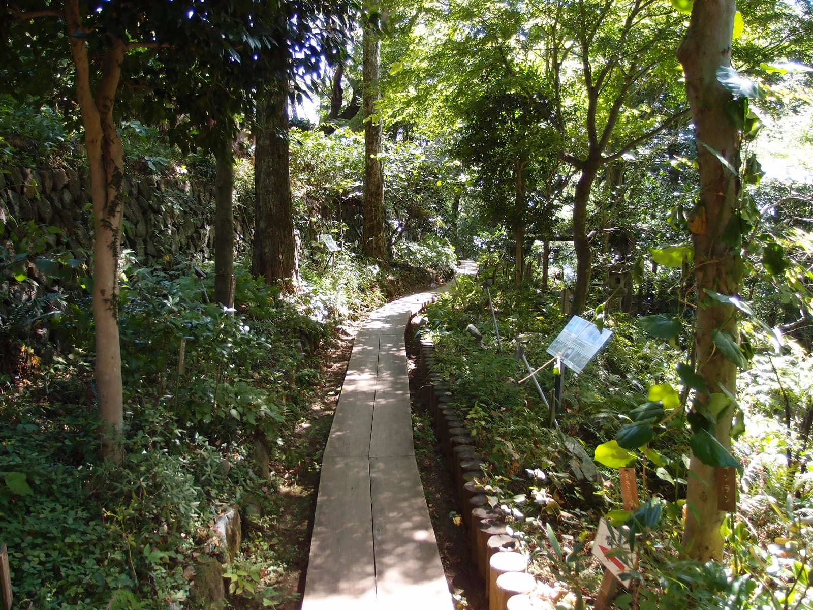 A narrow path through the shady Wild Plant Garden at Mt. Takao, with a small plant label.
